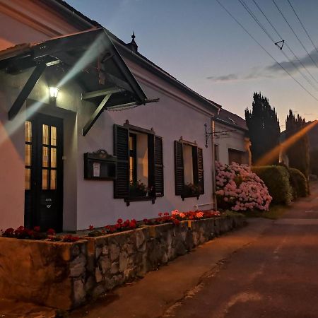 Bed and Breakfast Gomba Panzio Velem Zewnętrze zdjęcie