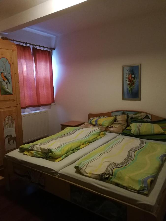 Bed and Breakfast Gomba Panzio Velem Zewnętrze zdjęcie
